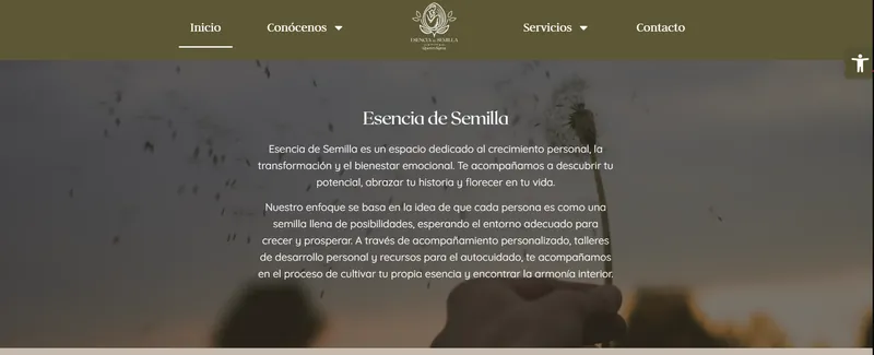 Web de Esencia de Semilla, consulta de psicología